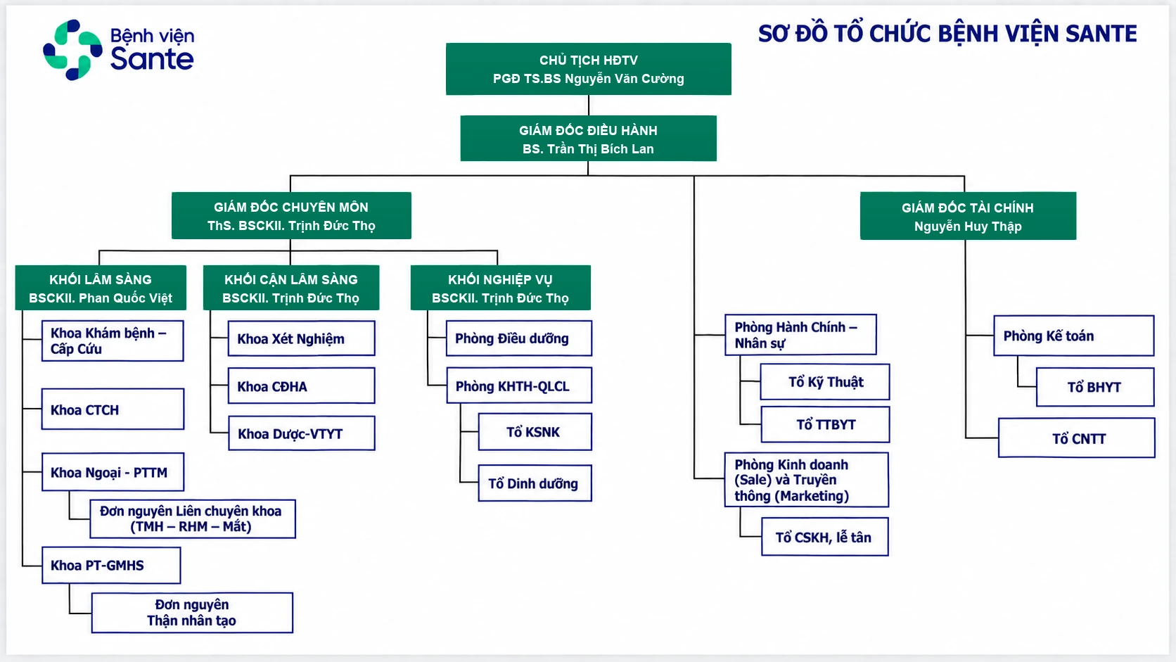 Organizational Structure of Sante Hospital