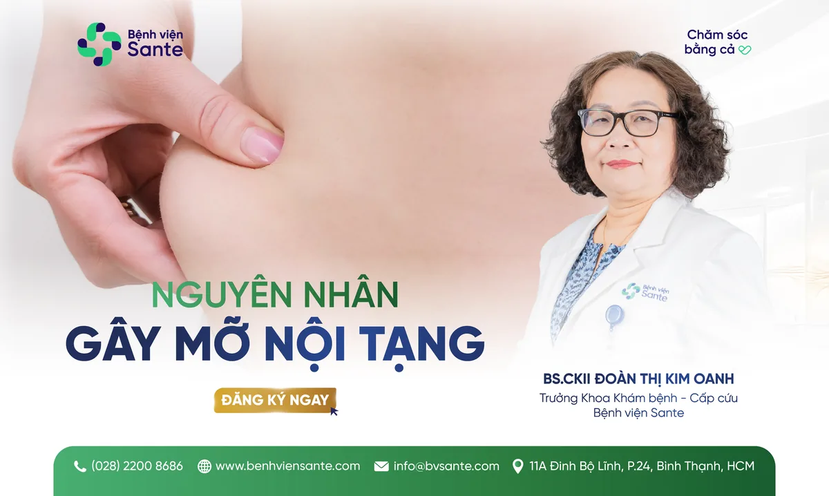 CAUSES OF VISCERAL FAT - SANTE Hospital, Binh Thanh, HCMC